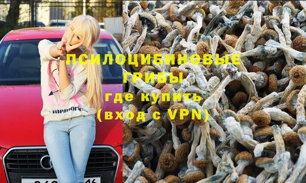 прущие грибы Алексеевка