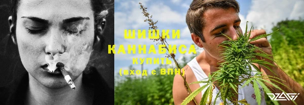 индика Аркадак