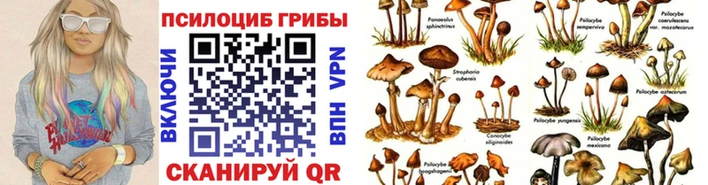 цена наркотик  Саров  MEGA как зайти  Псилоцибиновые грибы ЛСД 